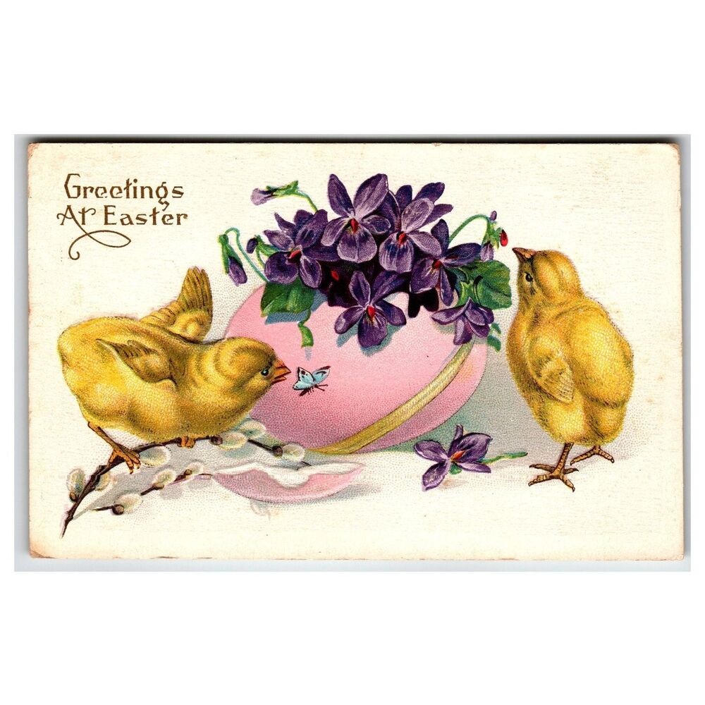 Vintage Easter Chicks Violets Postcard 1915 Stecher Quality Rochester